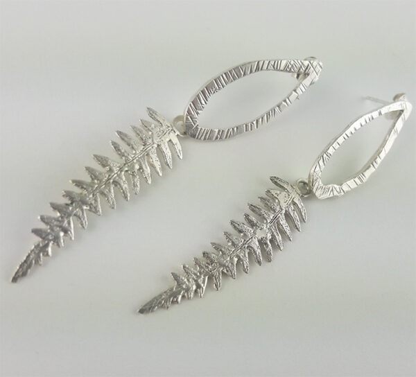 pdt helecho fondo blanco